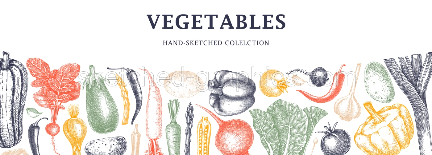 Hand-sketched vegetables design in color. Hand-drawn tomatoes, squashes, peppers, potatoes, asparagus and other vegetables. Healthy food banner for menu, restaurant, packaging. Botanical illustration  Illustration